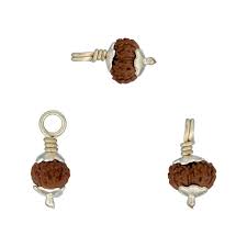 Rudraksha 14 Mukhi com Garra Dourada — Pendente Sagrado