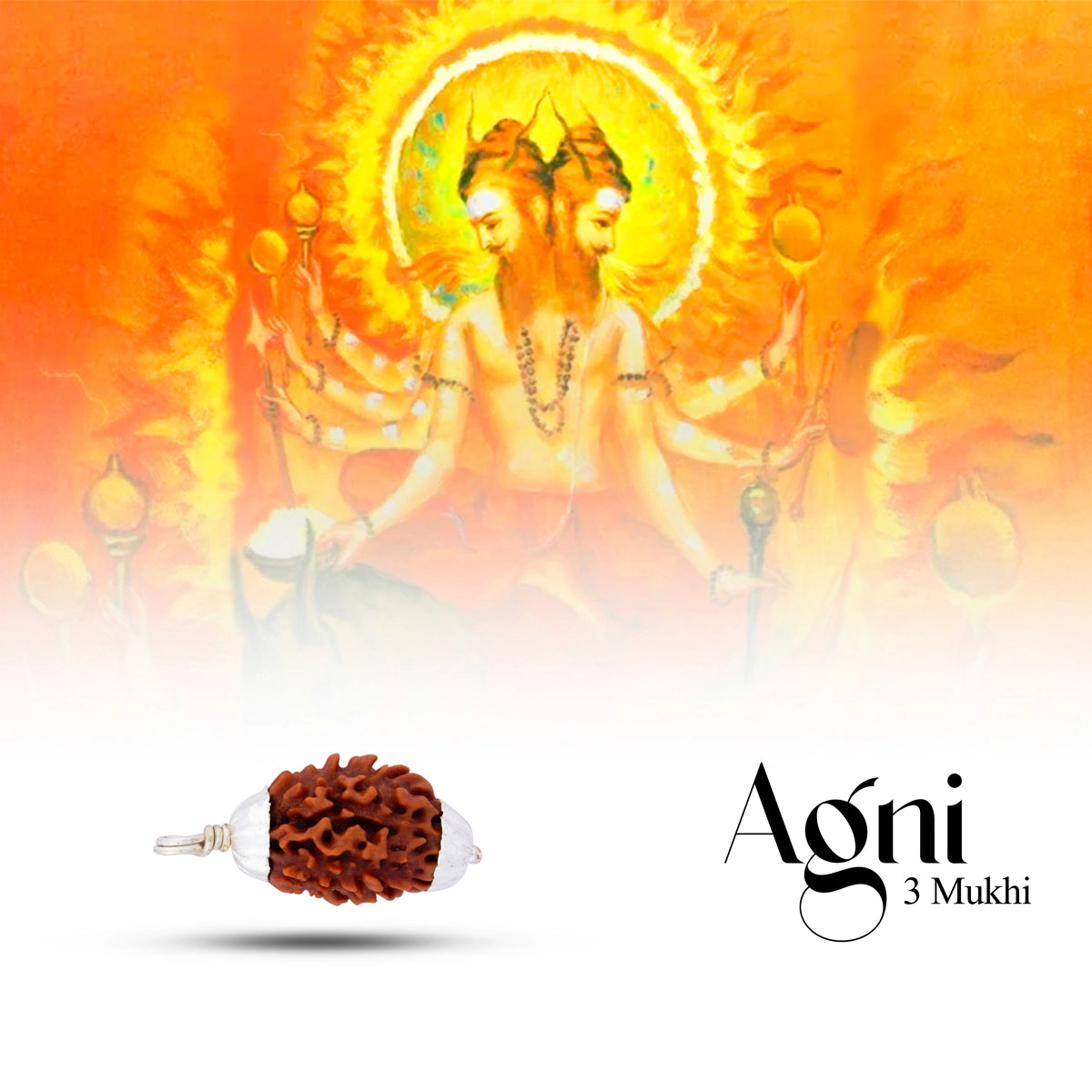 Pingente de Rudraksha 3 Mukhi - Joia Sagrada de Agni e Poder Solar