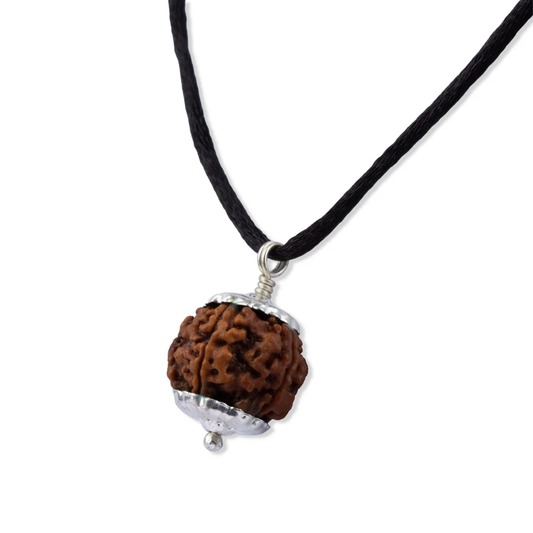 Rudraksha 7 Mukhi - Pingente de Rudraksha