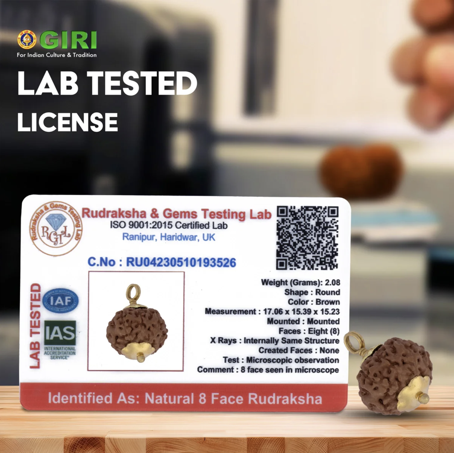 Rudraksha 8 Mukhi (Faces) - Ganesha Rudraksha com Certificado