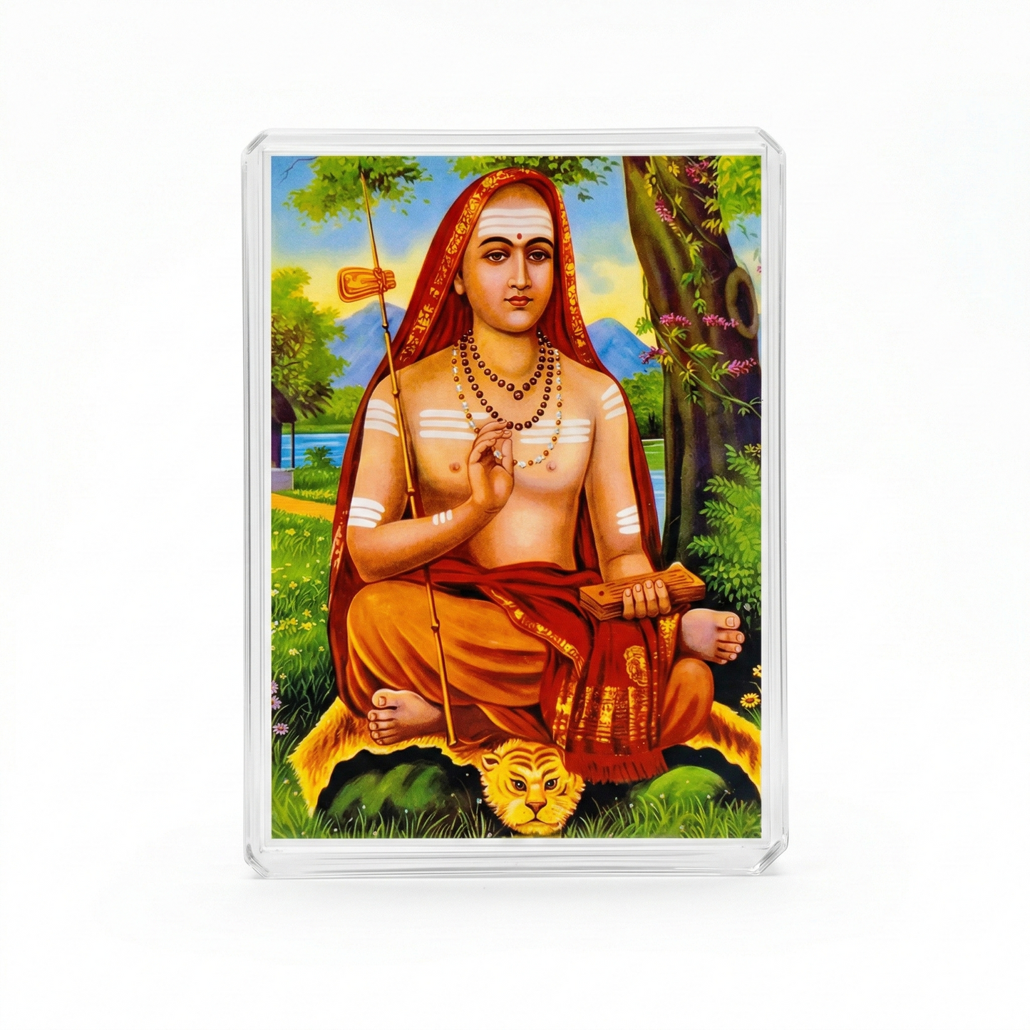 Imagem Shankara Acharya