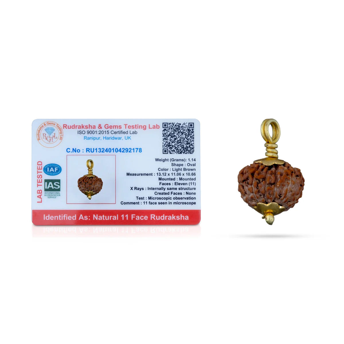 Rudraksha 11 Mukhi com Garra Dourada — Pendente Sagrado