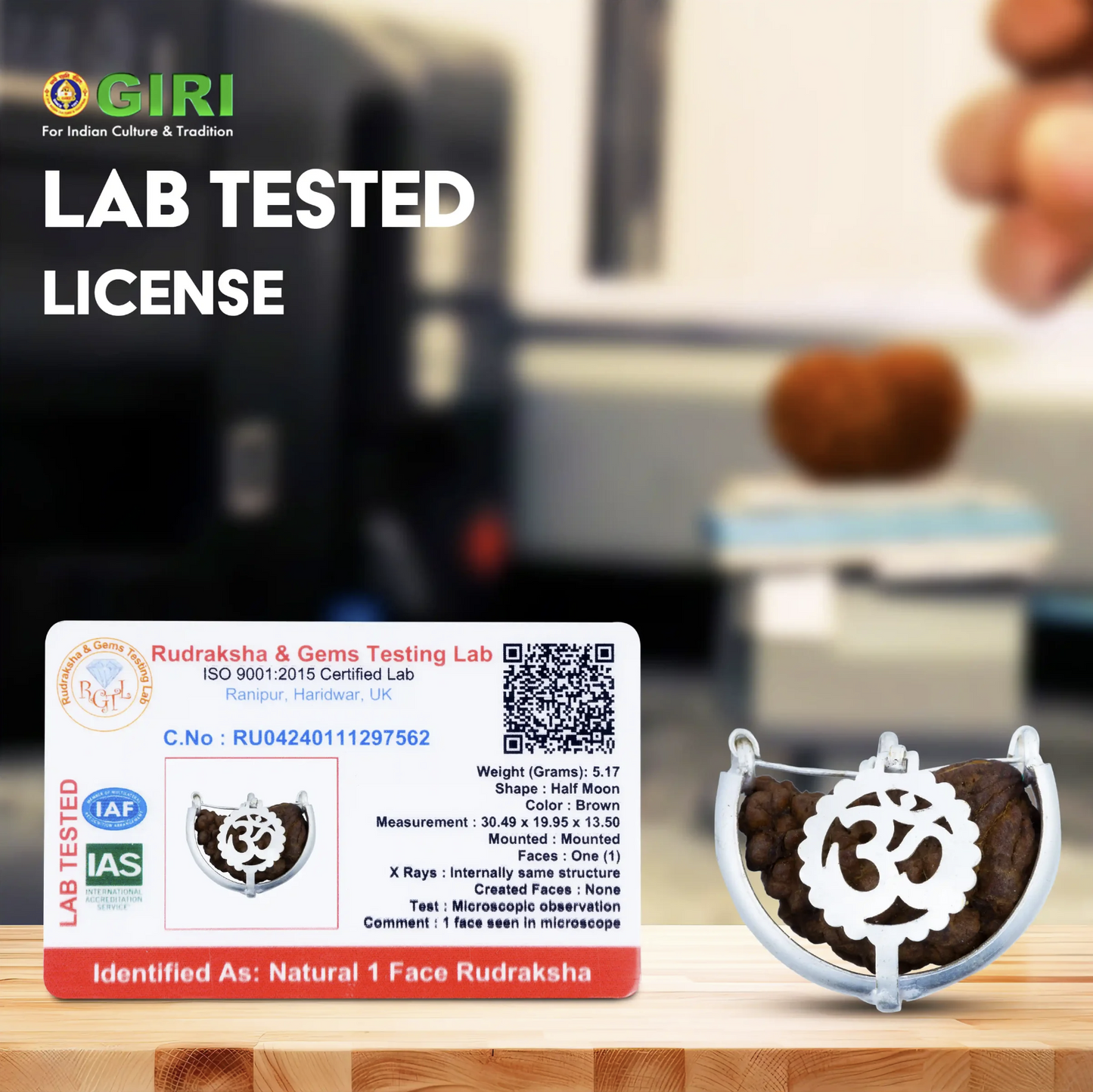 Rudraksha de 1 face (Ekamukhi)