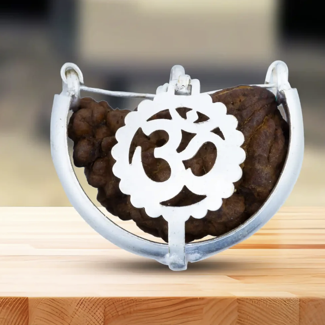 Rudraksha de 1 face (Ekamukhi)