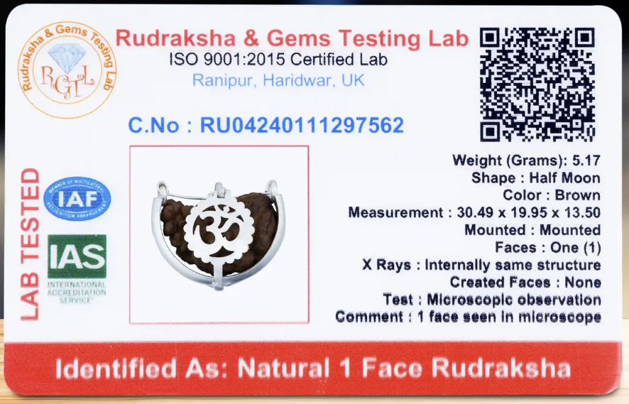 Rudraksha de 1 face (Ekamukhi)