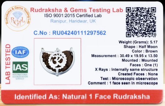 Rudraksha de 1 face (Ekamukhi)