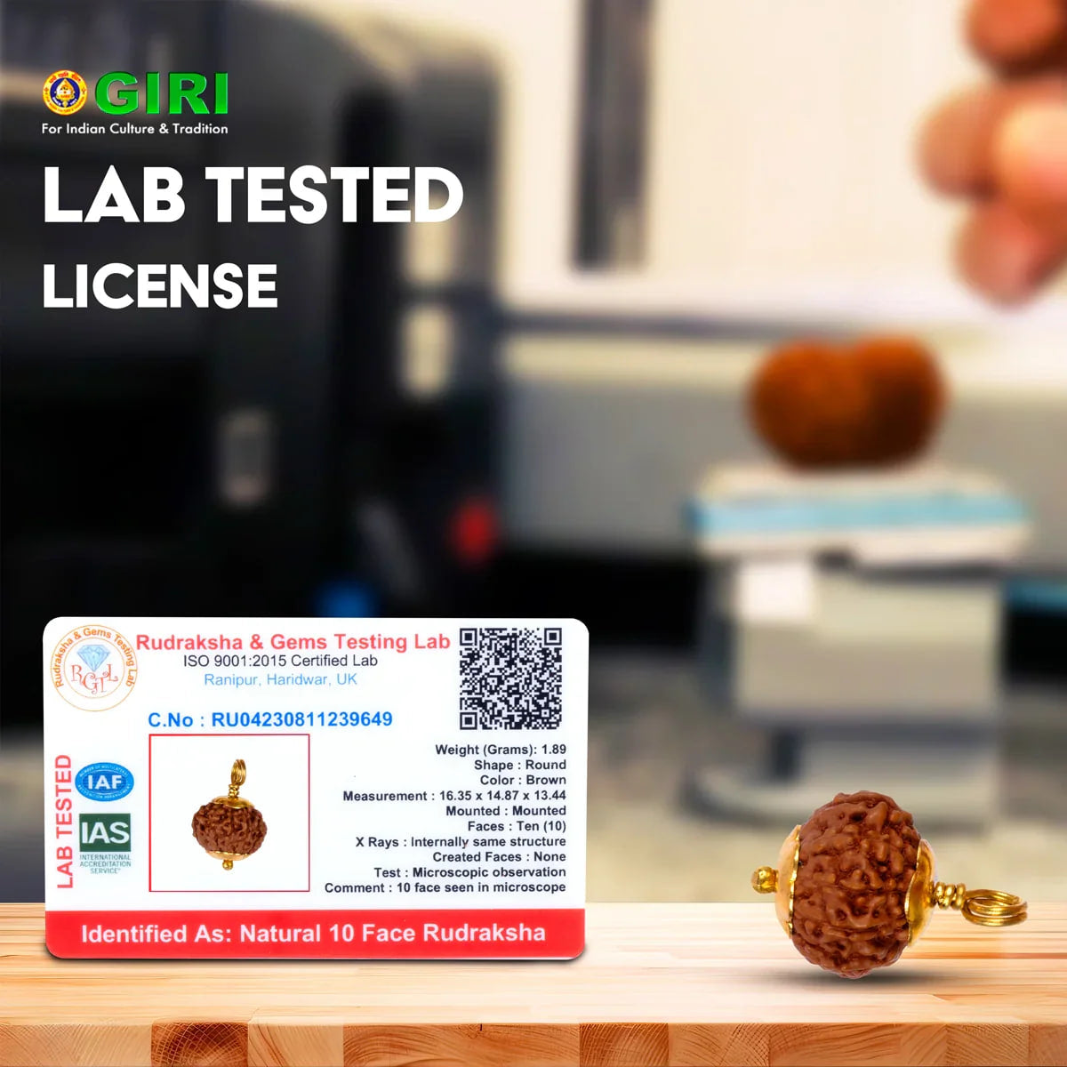 Rudraksha 10 Mukhi com Garra Dourada — Pendente Sagrado