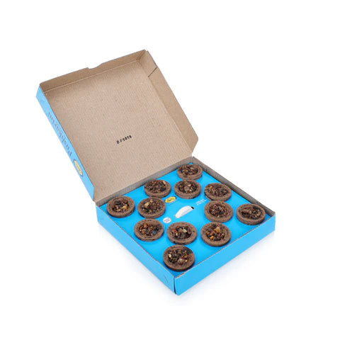 Incenso em Cone Sambrani Pushkarini – 12 Unidades