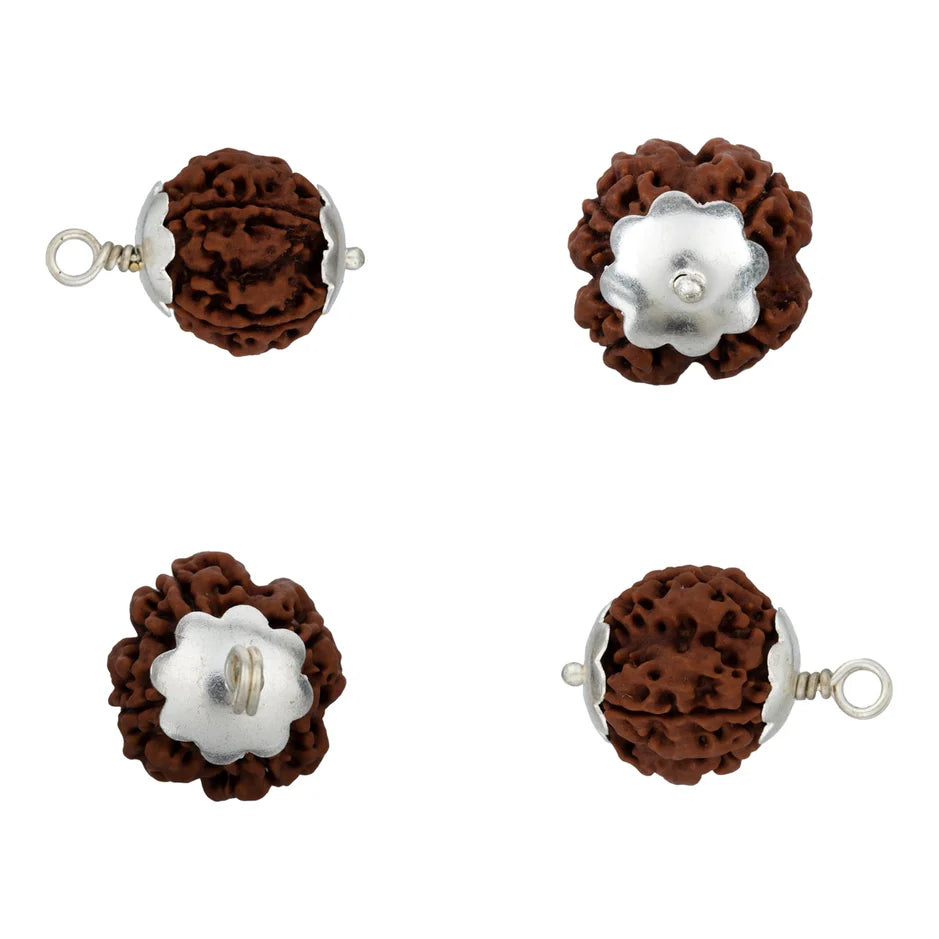 Rudraksha 4 Mukhi com Garra Plateada— Pendente Sagrado