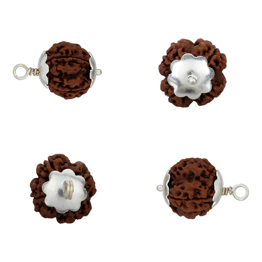 Rudraksha 4 Mukhi com Garra Plateada— Pendente Sagrado