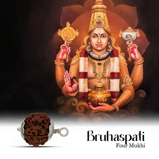 Rudraksha 4 Mukhi com Garra Plateada— Pendente Sagrado
