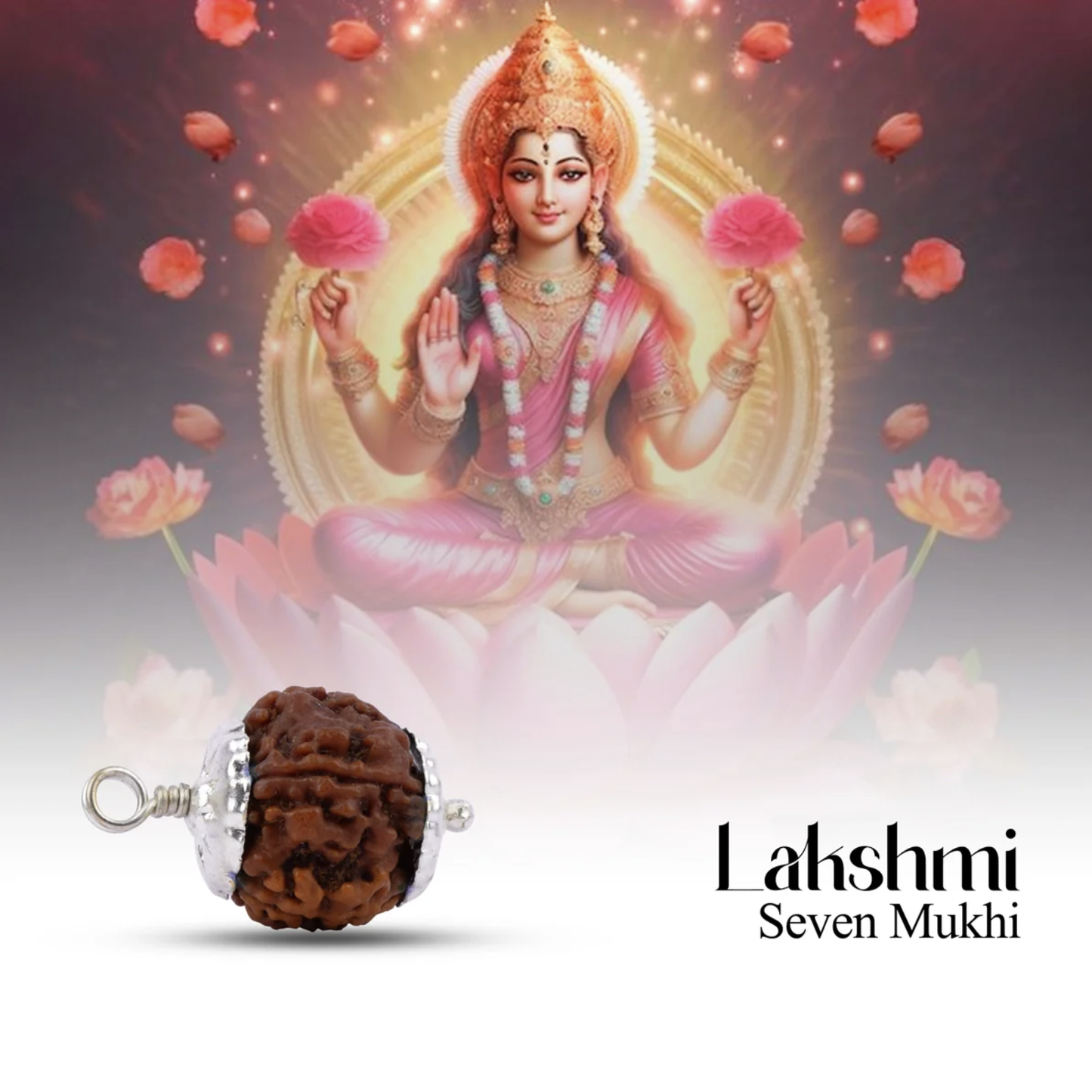 Rudraksha 7 Mukhi - Pingente de Rudraksha