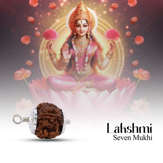 Rudraksha 7 Mukhi - Pingente de Rudraksha