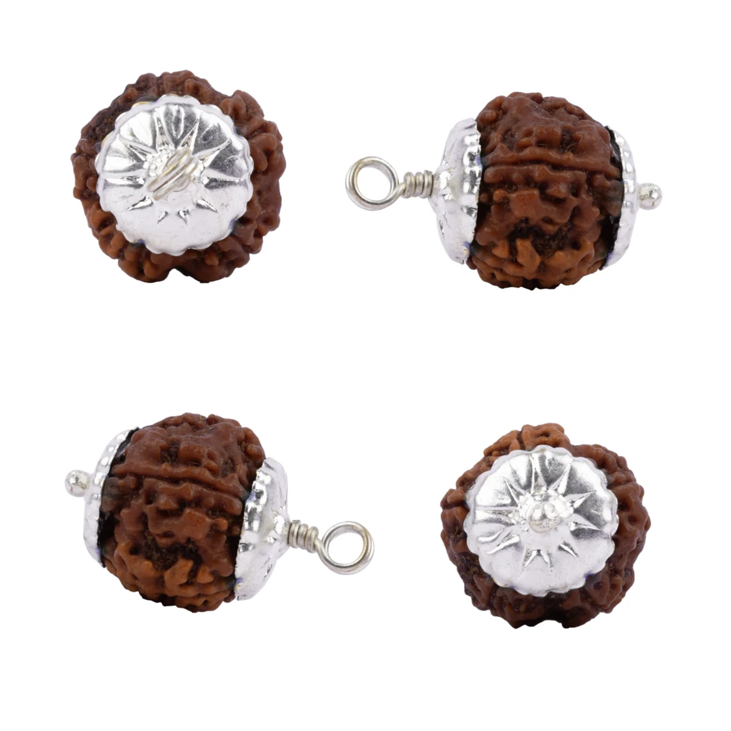 Rudraksha 7 Mukhi - Pingente de Rudraksha