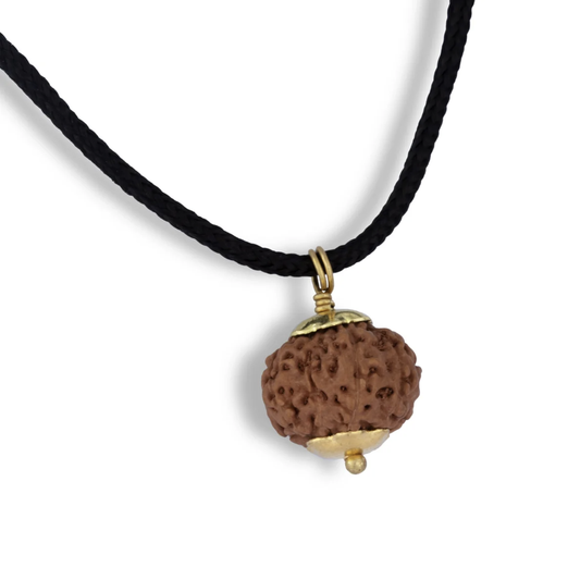 Rudraksha 8 Mukhi (Faces) - Ganesha Rudraksha com Certificado