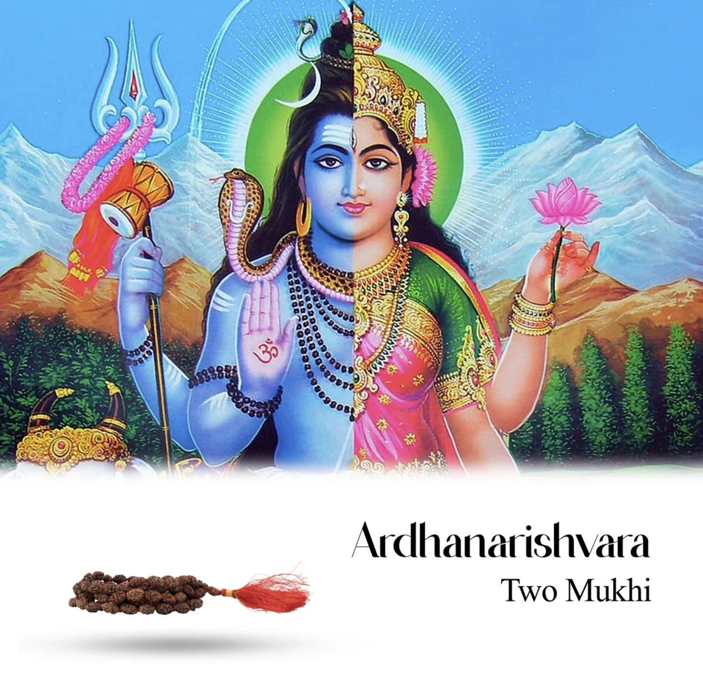 Mala de Rudraksha 2 Mukhi - Colar 108 Contas para Harmonia nos Relacionamentos