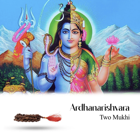 Mala de Rudraksha 2 Mukhi - Colar 108 Contas para Harmonia nos Relacionamentos