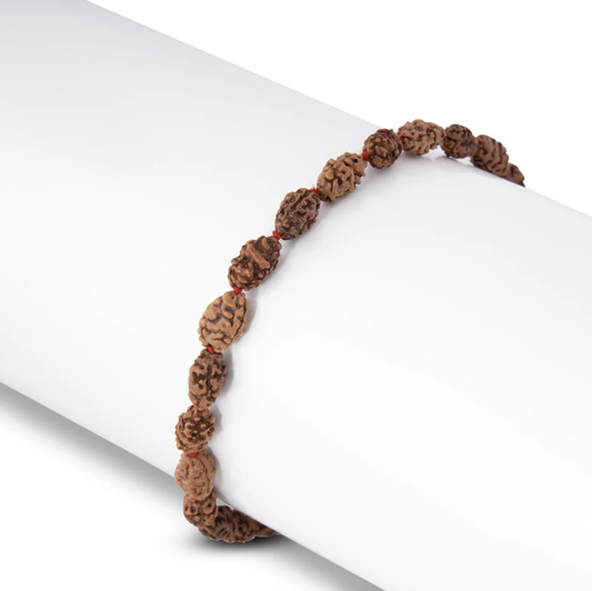 Mala de Rudraksha 2 Mukhi - Colar 108 Contas para Harmonia nos Relacionamentos