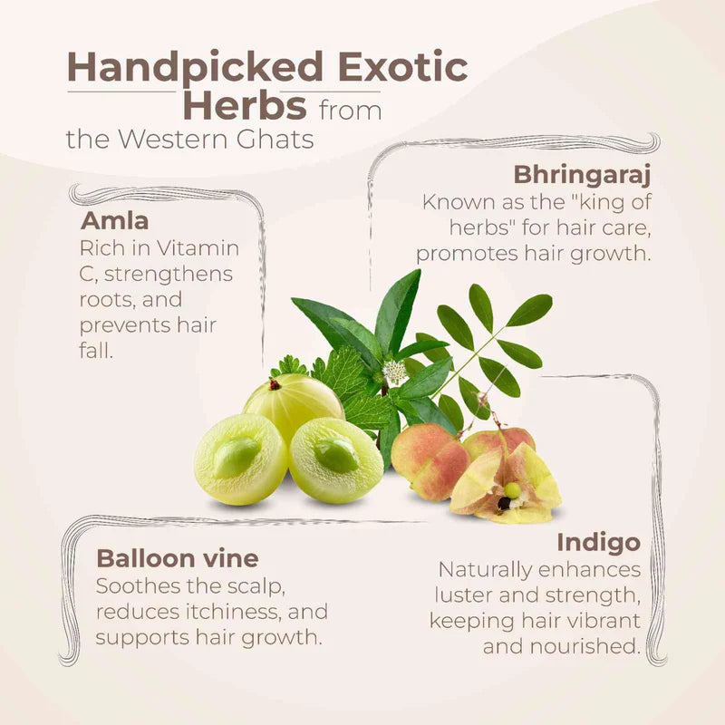 Óleo Capular Ayurvédico - Kesini Bringadi Thailam – 200 ml